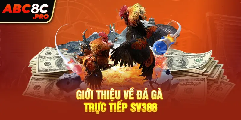 Giới thiệu về đá gà trực tiếp SV388