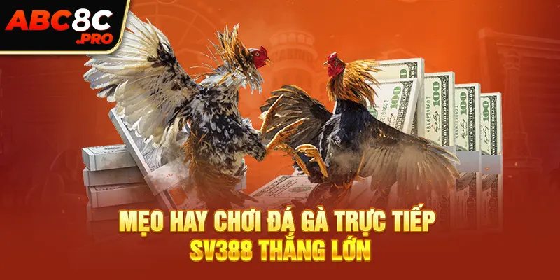 Mẹo hay chơi đá gà trực tiếp SV388 thắng lớn