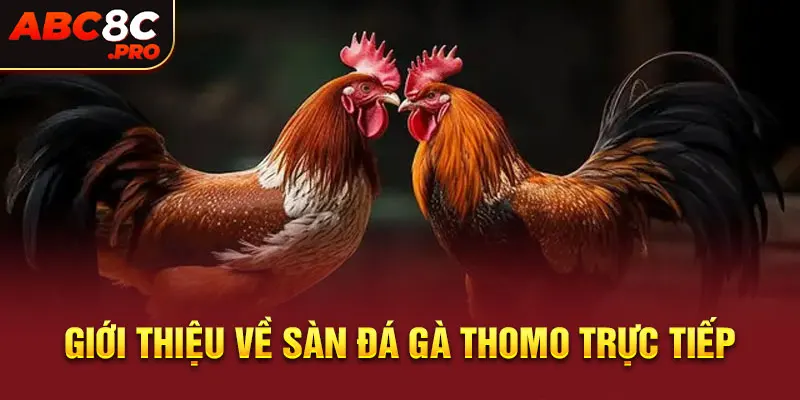 Giới thiệu về sàn đá gà Thomo trực tiếp